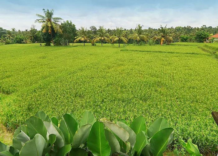 Hotel Bisma Ubud (Bali)